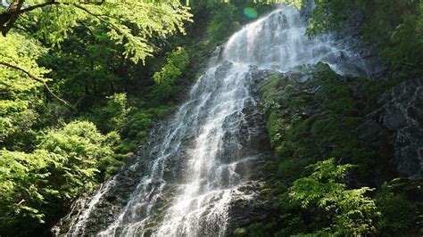 滝の川 福井